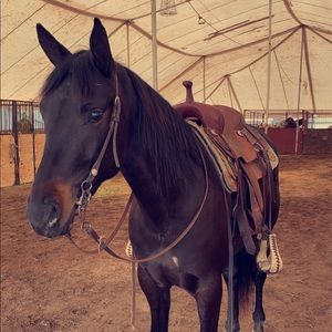 Meet your Posher, Carley